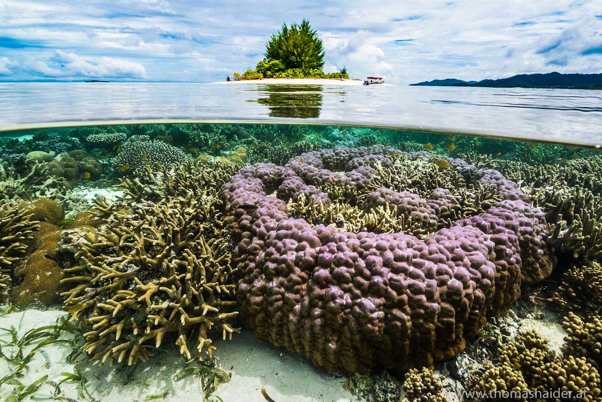 Gangga Island en Raja Ampat West Papua Afbeelding