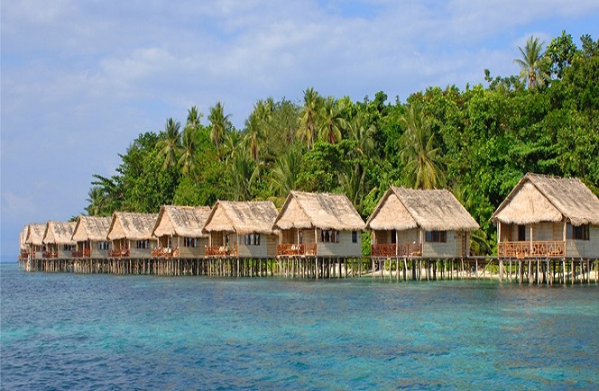 Papua Paradise Eco Resort 0