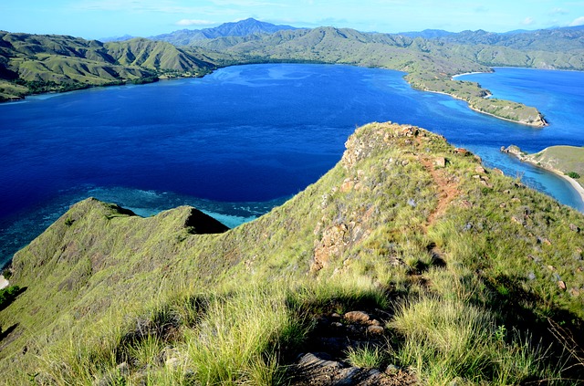 Maluku Divers Resort