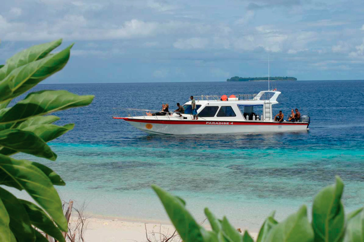 Gangga Island Sulawesi en Raja Ampat West Papua